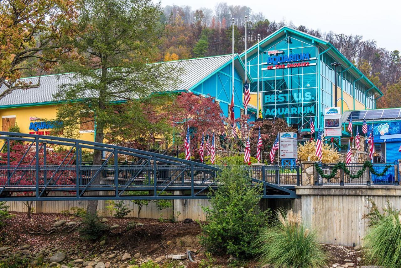 Woodland Escape Villa Pigeon Forge Ngoại thất bức ảnh