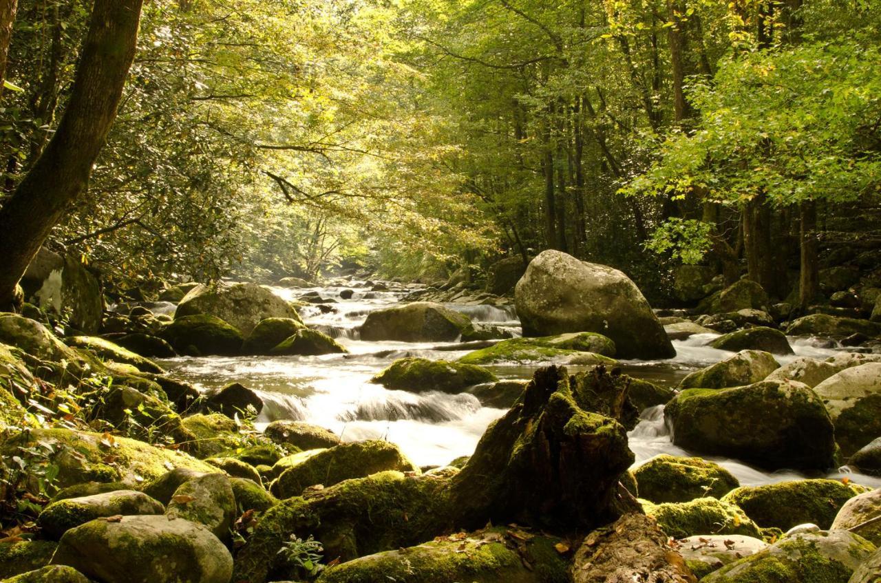 Woodland Escape Villa Pigeon Forge Ngoại thất bức ảnh